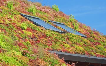 Catmore living roof systems