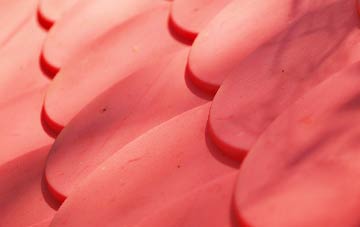 Catmore plastic roof costs