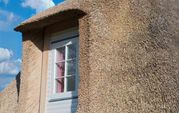 Catmore thatch roof disadvantages